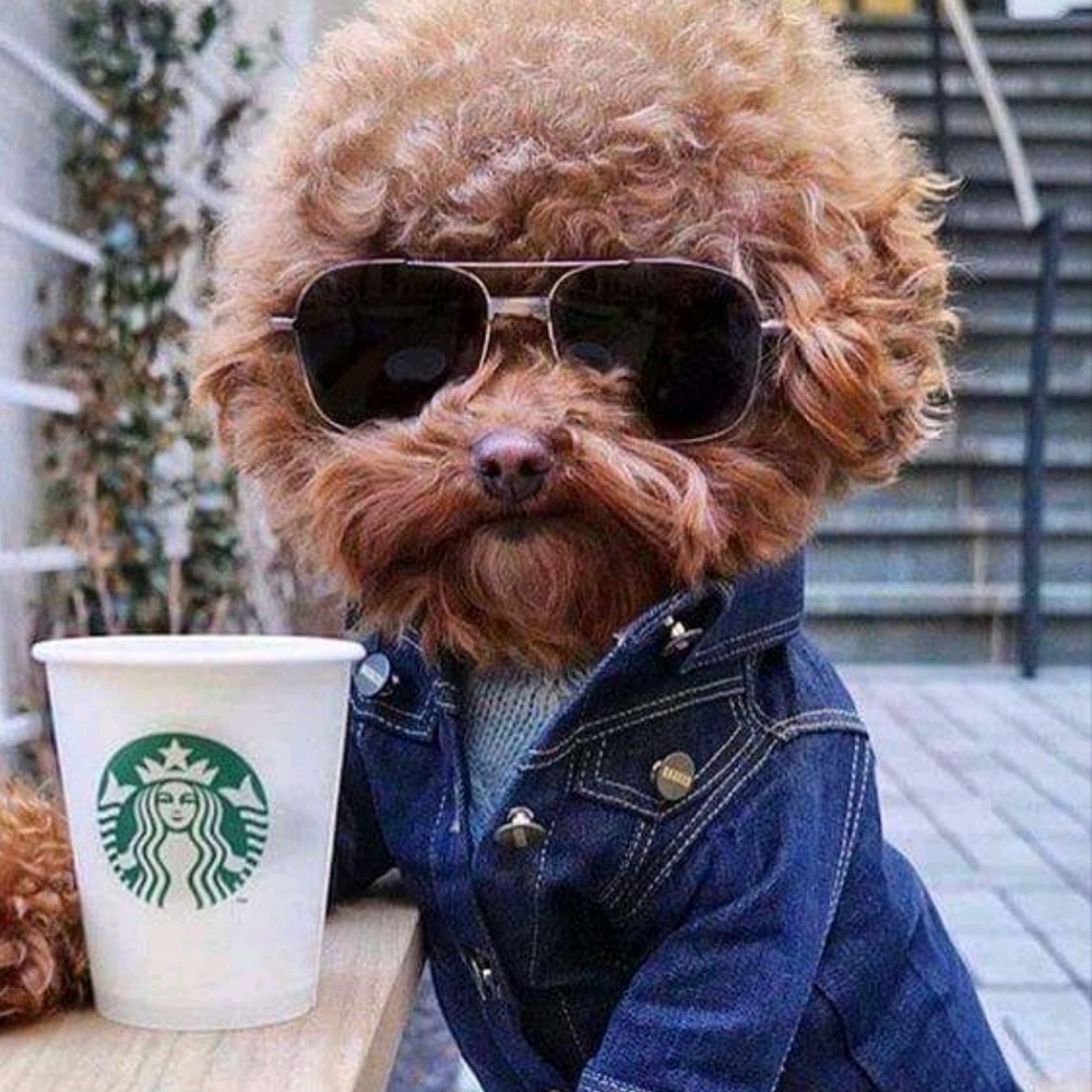 Meet your Posher, Eldina